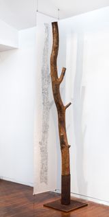 Black wattle tree trunk from Sawpit camp with suspended drawing by John Wolseley contemporary artwork painting
