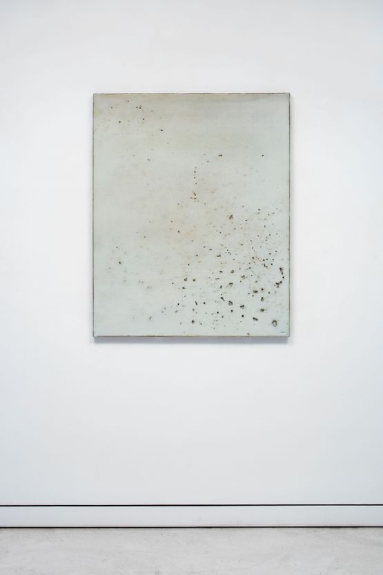 Untitled blue by Lawrence Carroll contemporary artwork Painting