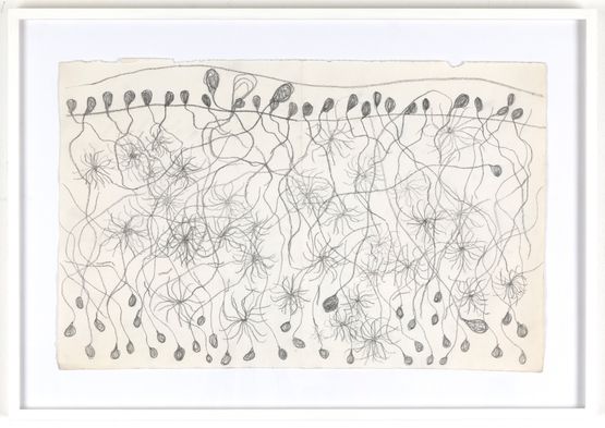Ohne Titel by Thean Chie Chan contemporary artwork Works on Paper