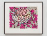 Points of departure XV by Bharti Kher contemporary artwork works on paper