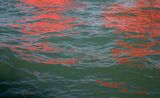 Riflessi Red Regatta  September 1 2019 by Melissa McGill contemporary artwork print