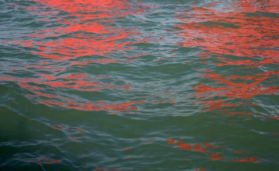 Riflessi Red Regatta  September 1 2019 by Melissa McGill contemporary artwork Print