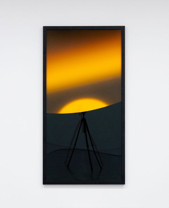 Citrinitas by Andrew Beck contemporary artwork Photography