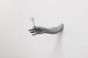 Hans Op De Beeck