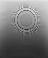 Ark by Adam Fuss contemporary artwork photography