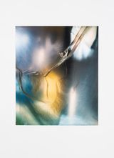 Untitled 3420 by Elisa Sighicelli contemporary artwork photography