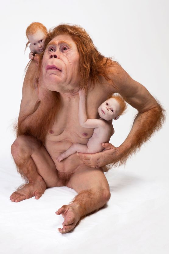 Kindred by Patricia Piccinini contemporary artwork Sculpture
