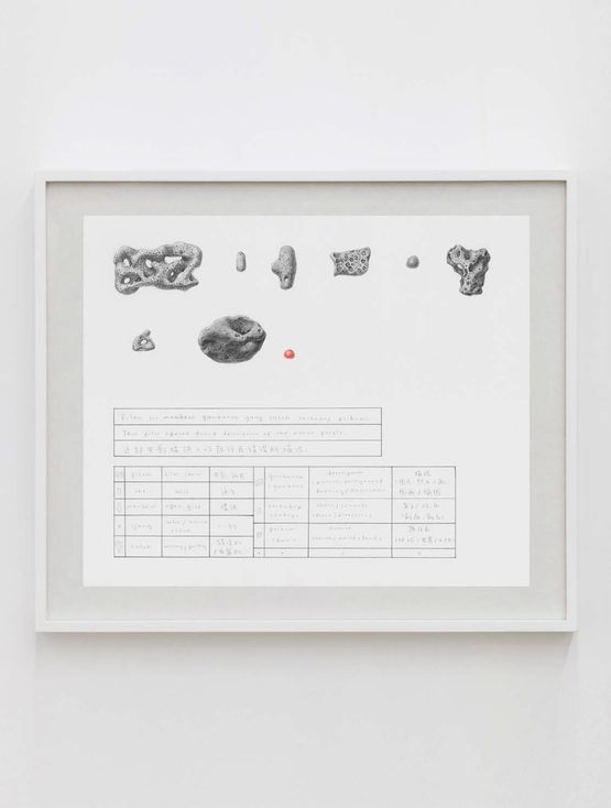 Coral Dictionary This film offered fraud description of the native people. by Chang Yuchen contemporary artwork Works on Paper