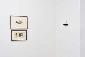Group Exhibition