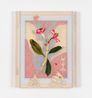 Arbusti della valle - Alloro rosa by Riccardo Baruzzi contemporary artwork Works on Paper