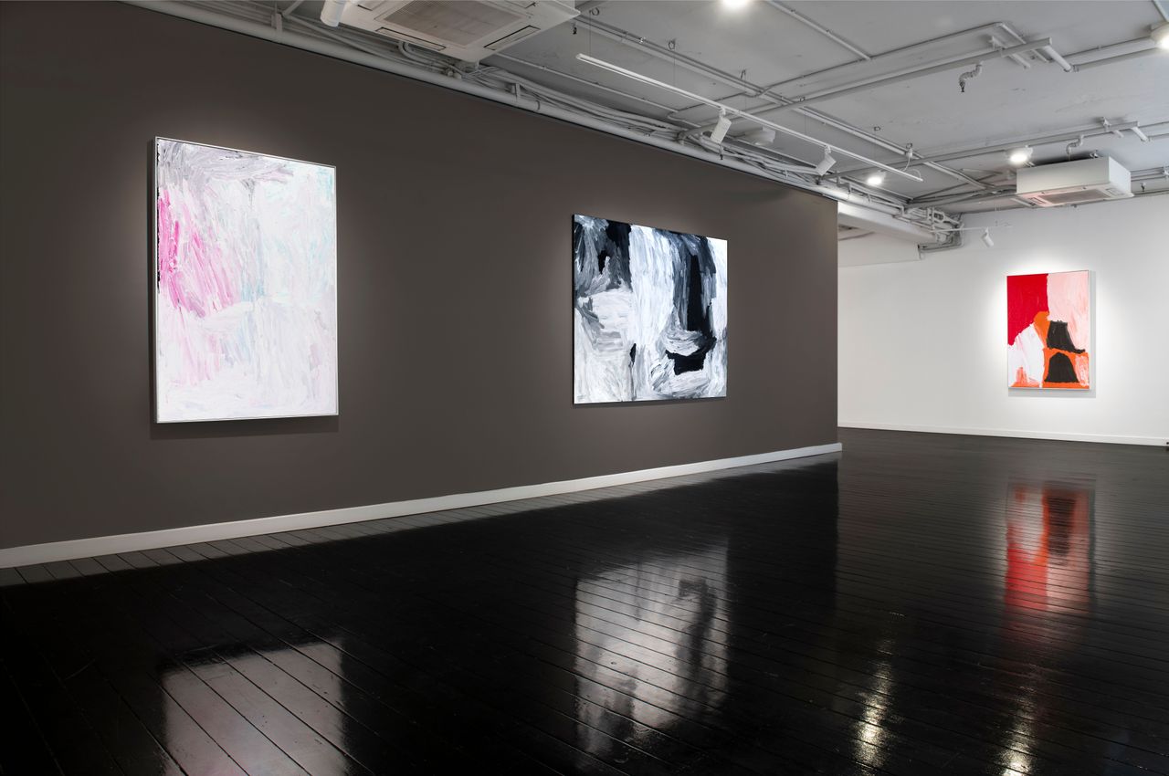 D Lan Galleries