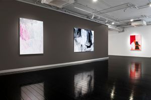 D Lan Galleries contemporary art gallery in Melbourne Australia