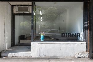 DIANA contemporary art gallery in New York United States