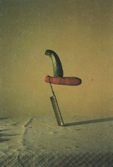 Vegeterisches WagnisThe Apparition by Peter Fischli  David Weiss contemporary artwork photography