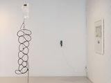 VINES afterlife by Chok Si Xuan contemporary artwork installation