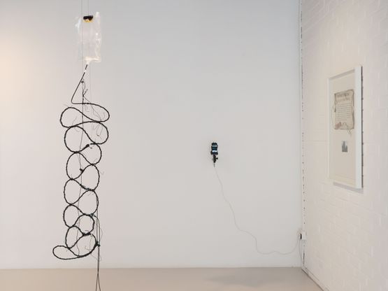 VINES afterlife by Chok Si Xuan contemporary artwork Installation