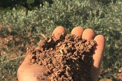 Palestinian Artist Khaled Jarrar Offers Ramallah Soil as NFT
