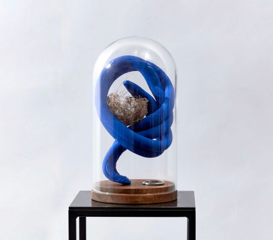 Curiosity with nest by Caroline Rothwell contemporary artwork Sculpture