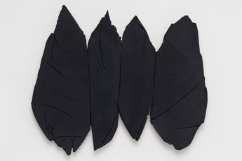 Contemporary art exhibition Anthony Pearson Casements at David Kordansky Gallery Los Angeles United States
