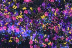 teamLab