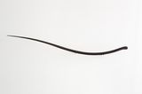 Ming Beard - 2006 No.5 by Fan Shao contemporary artwork sculpture
