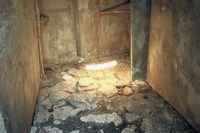 Francis Ng A Bit of an Anomaly