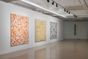 Tatsuo Miyajima