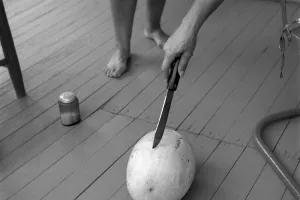 Emmet Gowin