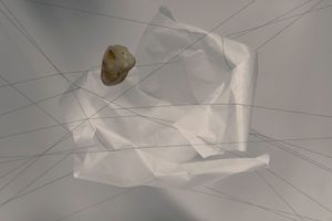 Laetitia Hakim  Tarek Haddad