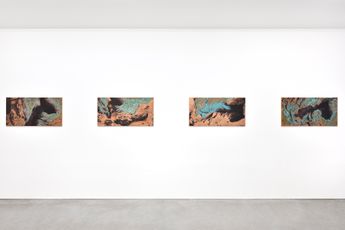Contemporary art exhibition Cristina Iglesias Monotypes on Copper and Paper at Galerie Marian Goodman Paris France