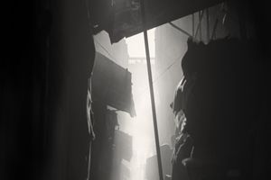 Fan Ho