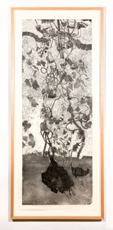Ganguri vine and yam by John Wolseley contemporary artwork print