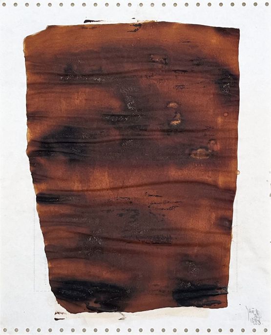 Soy Sauce Drawing 5 by Yang Jiechang contemporary artwork Works on Paper