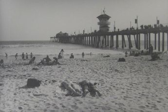 Ed Templeton contemporary artist