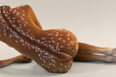 Cayman Islands Resort Backs Skin in the Game Exhibition in Miami Beach