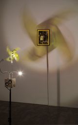 Dreamed-Breeze-3 -3 by Birdhead contemporary artwork installation