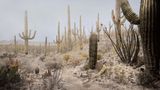Giant Cocutus by Hiroshi Sugimoto contemporary artwork print