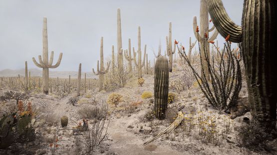 Giant Cocutus by Hiroshi Sugimoto contemporary artwork Print