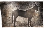 Mehwish Iqbal contemporary artist