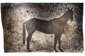 Mehwish Iqbal contemporary artist