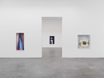 Luc Tuymans Wants It Darker at David Zwirner New York