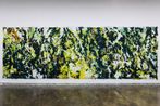 Trementina by Toby Huss contemporary artwork Painting