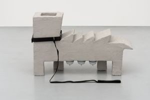 Camille Henrot