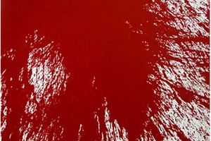 Hermann Nitsch