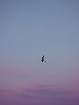 Time is the Enemy 5 by Andrea Galvani contemporary artwork photography