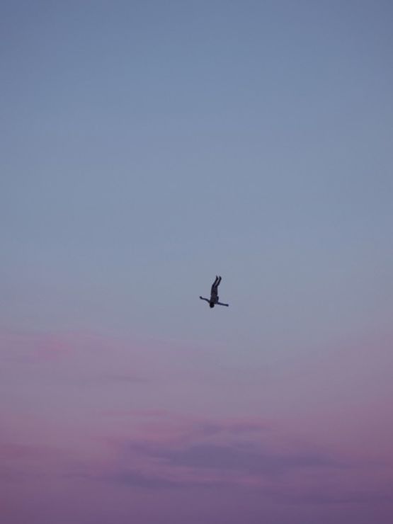 Time is the Enemy 5 by Andrea Galvani contemporary artwork Photography