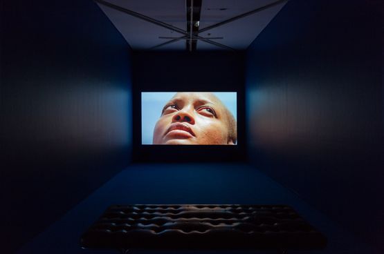 Western Union Small Boats The Leopard by Isaac Julien contemporary artwork Moving Image