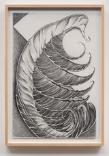 Fossils by Faith Wilding contemporary artwork drawing works on paper