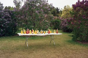 Joel Sternfeld