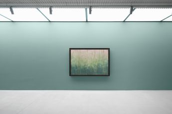 Contemporary art exhibition Nicolas Party Toile daraignee at Xavier Hufkens St-Georges Belgium
